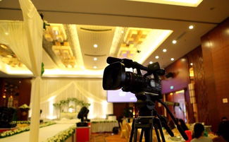 專業活動策劃與承辦 一站式服務打造精彩瞬間